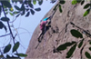 Karnataka’s monkey man ’Kothi Raj’ scales Karinja Kshetra rock in Bantwal